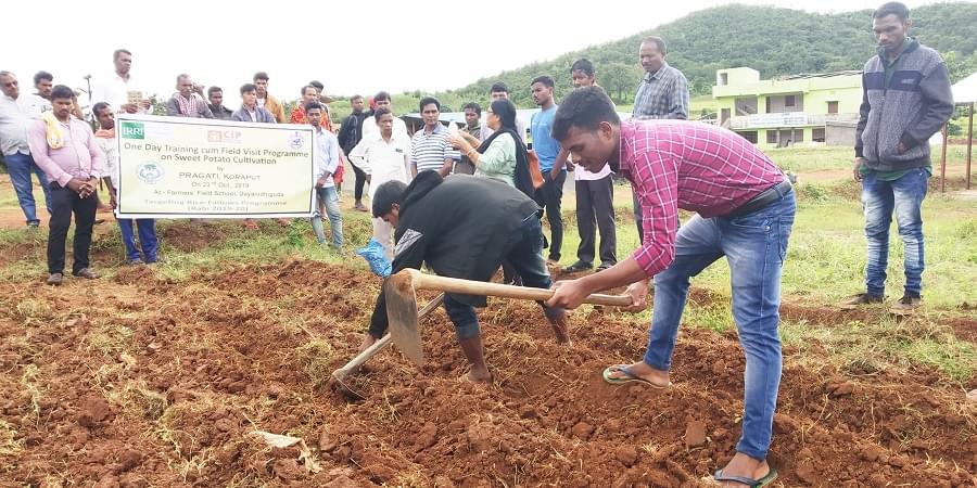 KIIT School of Rural Management Bhubaneswar Field Work photo 3